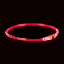 Trixie Lichtgevende Halsband Usb Flash Light Oplaadbaar Tpu Rood