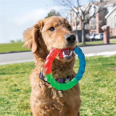 KONG TWISTZ RING