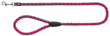 Trixie Hondenriem Cavo Fuchsia / Grijs