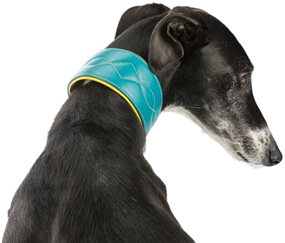 Trixie Halsband Hond Active Comfort Voor Windhonden Leer Petrol 21-26X4 CM