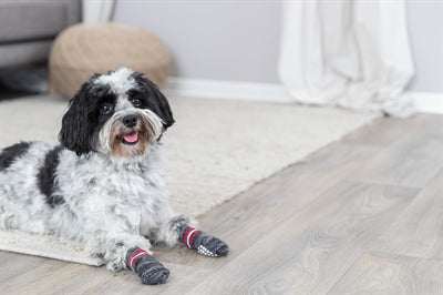 Trixie Hondensokken Anti-Slip Grijs