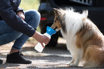 Trixie Waterdispenser Voor Onderweg Kunststof Assorti 550 Ml 3 St