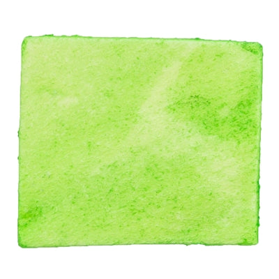 Trixie Denta Fun Spirulina Chewing Chips