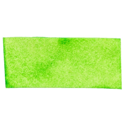 Trixie Denta Fun Spirulina Chewing Chips