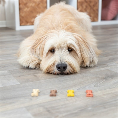Trixie Cookie Snack Bones