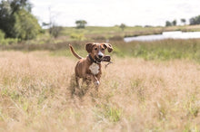 Trixie Preydummy Canvas Bruin