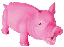 Trixie Latex / Polyestervlies Varken Met Dierengeluid  Assorti