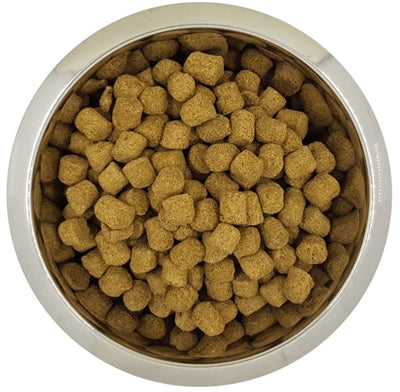 Yourdog Koningspoedel Volwassen 12 KG