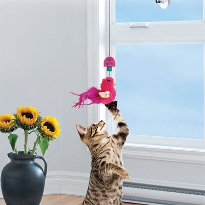 KONG CAT CONNECTS KATTENHENGEL RAAM ASSORTI