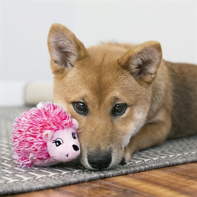 KONG COMFORT HEDGEHUG PUPPY EGEL ASSORTI