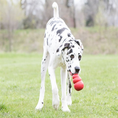 KONG CLASSIC ROOD