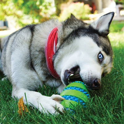 KONG SQUEEZZ GOOMZ BAL