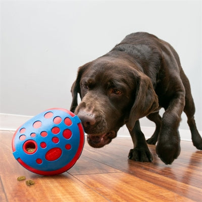KONG REWARDS WALLY BLAUW / ROOD