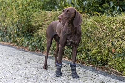 Trixie Pootbescherming Walker Active Long Zwart