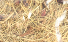 Excellent Kruidenhooi Rozenbottel En Mint