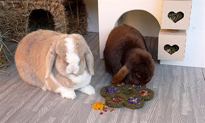 Naturals Rosewood Naturals Flower 'N' Forage Blossom 17X17 CM