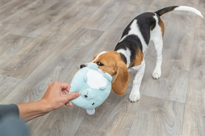 Trixie Pluche Beer Mintgroen Voor Puppy 14 CM 3 ST