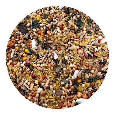 Utopia Grote Parkieten Afrikaans Top Quality 1 Kg