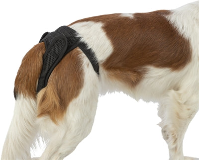Trixie Beschermbroekje Comfort Mesh Materiaal Zwart 22-31 Cm 2 St