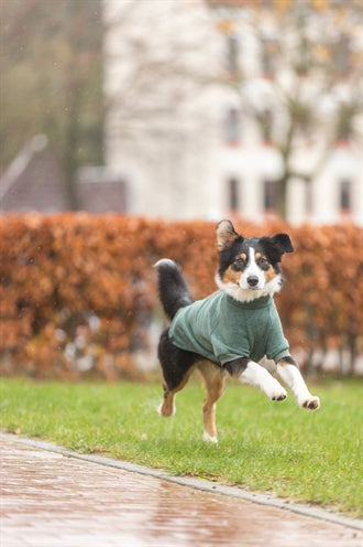 Trixie Citystyle Hondentrui Sweatshirt Amsterdam Saliegroen 30 Cm