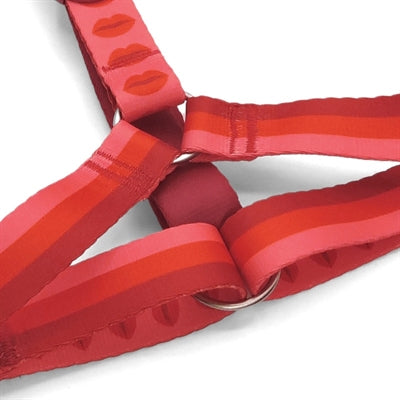 MORSO HONDENTUIG H-TUIG GERECYCLED LIPSTICK ROZE