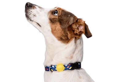 Morso Halsband Hond Gerecycled Color Invaders Paars 30-42X1,5 CM