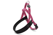 MORSO NORWEGIAN HONDENTUIG GERECYCLED BUBBLE LEO ROZE