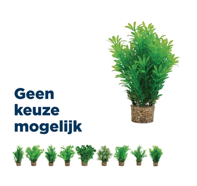 Zolux Ornament Pastic Plant Op Stenen Neutraal Assorti 20X10X10 CM