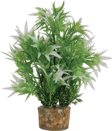 Zolux Ornament Pastic Plant Op Stenen Neutraal Assorti 20X10X10 CM