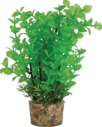 Zolux Ornament Pastic Plant Op Stenen Neutraal Assorti 20X10X10 CM