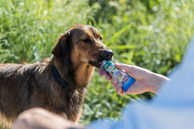 Trixie Veggiepasta 12X75 GR