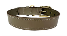 Sazzz Halsband Hond Braveheart Classic Leer Taupe 22-28X1,5 CM