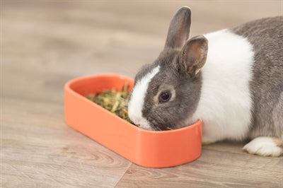 Trixie Voerbak / Drinkbak Ovaal Keramiek Assorti 22X10 CM 600 ML