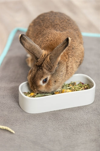 Trixie Voerbak / Drinkbak Ovaal Keramiek Assorti 22X10 CM 600 ML