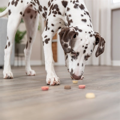 Trixie Vegan Cookie Snack Loops 2X1,3 KG