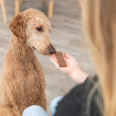 Trixie Premio Filets Lam 6X80 GR