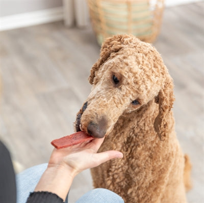 Trixie Premio Filets Rund 6X80 GR