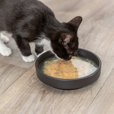 Trixie Soup Met Kip En Zalm 4X4X80 GR