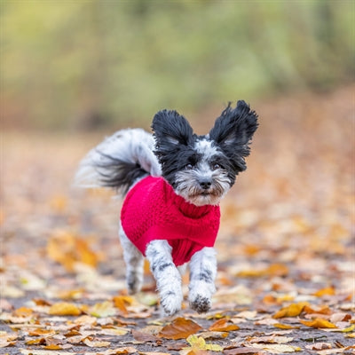 Trixie Hondentrui Norwood Rood 36 CM