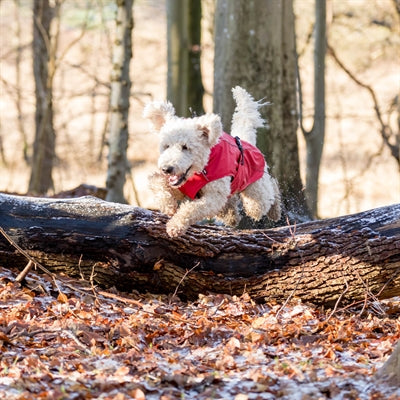 Trixie Regenjas Hond Vimy Rood RUG 62 CM BUIK 78-82 CM