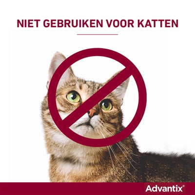 Elanco Advantix Spot On