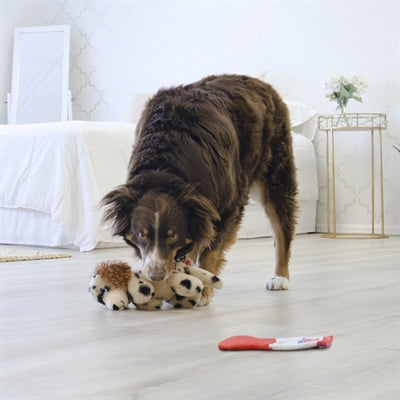 KONG COMFORT PUPS SPOT