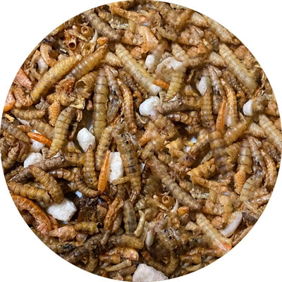 Utopia Insectenmix 500 GR