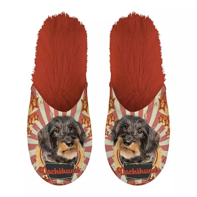 Merkloos Pantoffel Dachshund Teckel Oranje MAAT 39-42