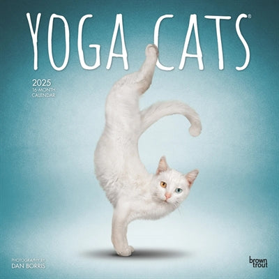 Merkloos Kalender Yoga Cats 2025 30X30 CM