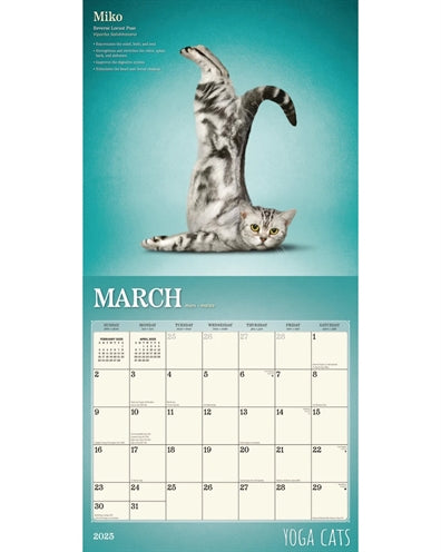 Merkloos Kalender Yoga Cats 2025 30X30 CM