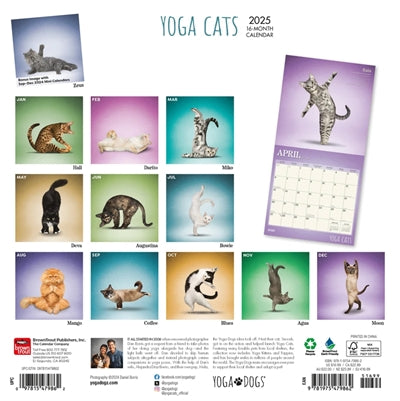 Merkloos Kalender Yoga Cats 2025 30X30 CM