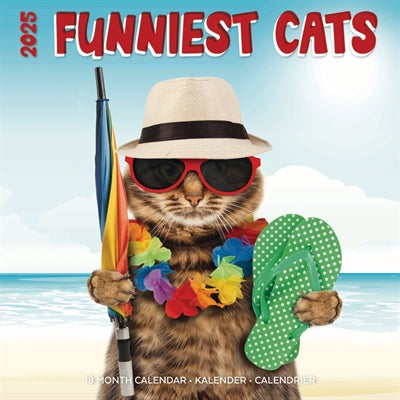 Merkloos Kalender Funniest Cats 2025 30X30 CM