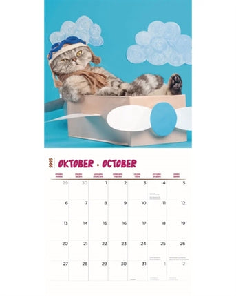 Merkloos Kalender Funniest Cats 2025 30X30 CM