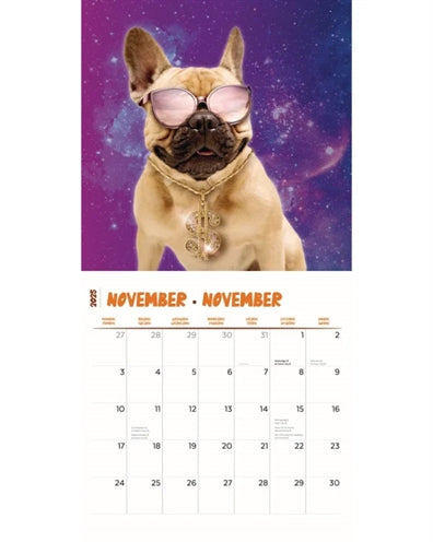 Merkloos Kalender Crazy Dogs 2025 30X30 CM